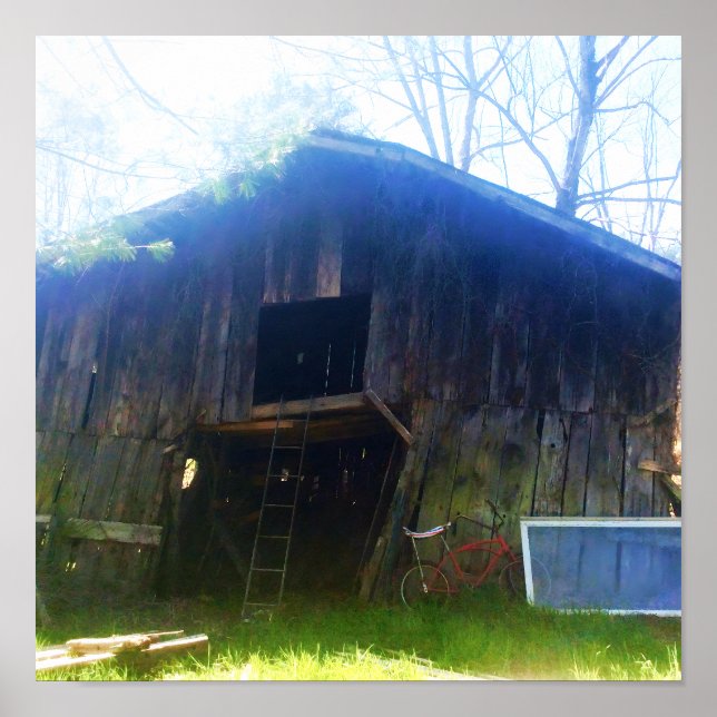 Front View a rustic 100-year old lada Poster (Framsidan)