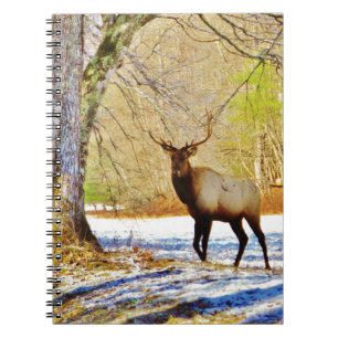 > frontal Bull elk i Snö Anteckningsbok