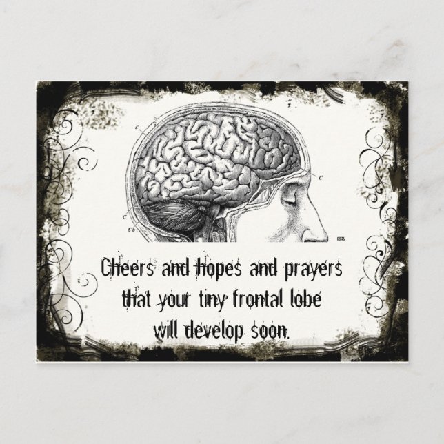 Frontal Lobe Haiku Postcards Vykort (Framsida)