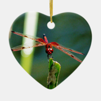 Frontal Red and Black Dragonfly Julgransprydnad Keramik