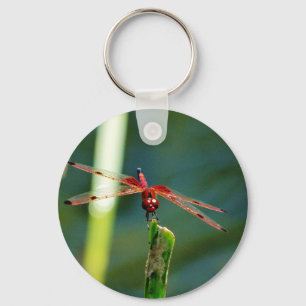 Frontal Red and Black Dragonfly Nyckelring