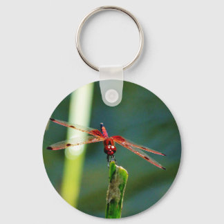 Frontal Red and Black Dragonfly Nyckelring