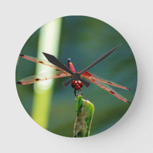 Frontal Red and Black Dragonfly Rund Klocka