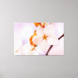 Frontal vy av Sakura-blomma under vårsäsongen Canvastryck
