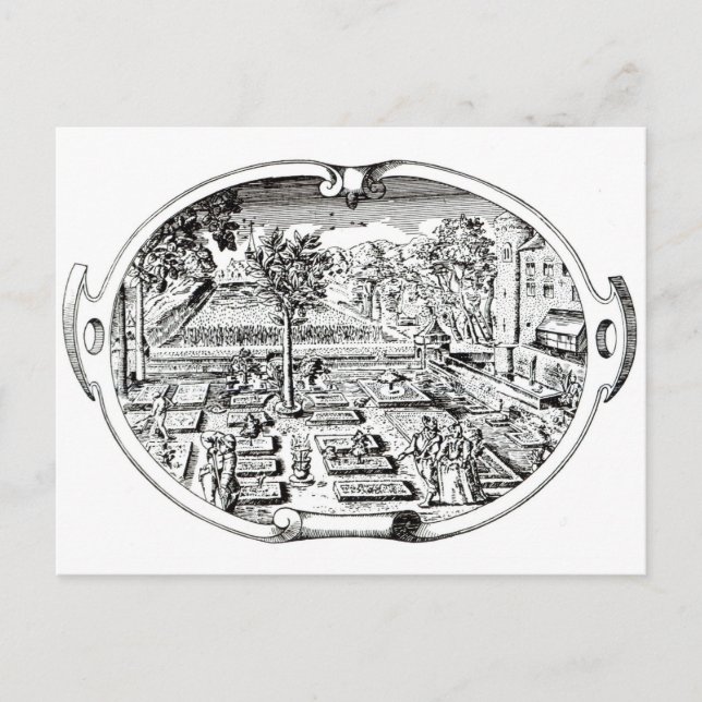 Frontispiece från Herball ( Vykort (Framsida)