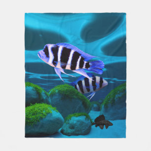 Frontosa Cichlid Plecostomus Aquarium Fish Fleecefilt