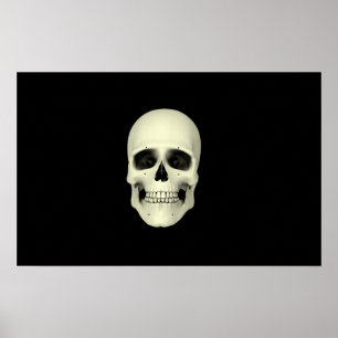 Frontvy för humant skal poster