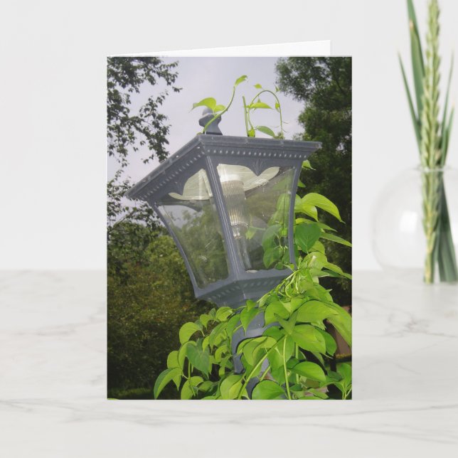 "Frontyard Streetlight" födelsedagskort Kort (Framsida)