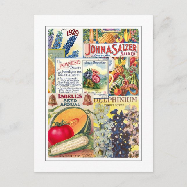 Fröpaket Vykort (Framsida)