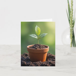 Fröplanta I Terrakotta Kruka Noteskort Kort