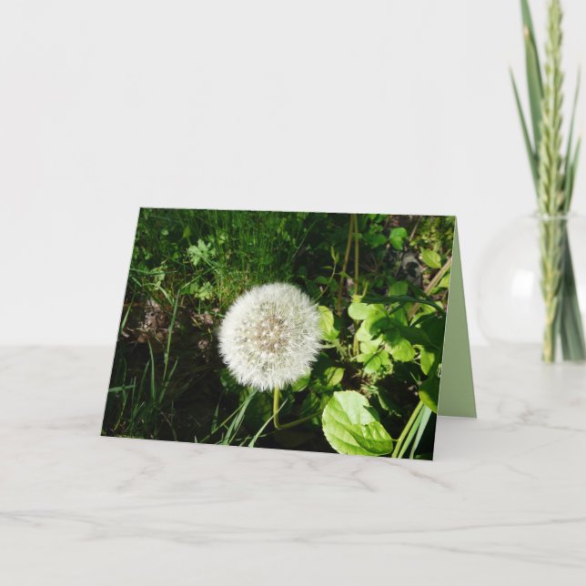 Fröredo som flyger kort (Framsida)