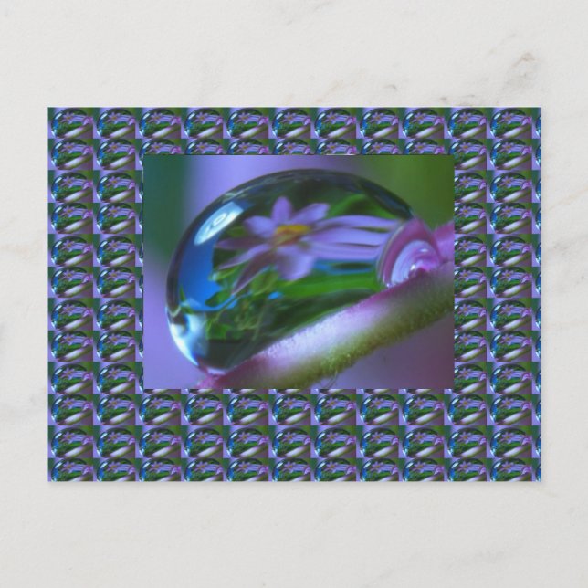 Fröreflektion på en DEW-DROP. lågprisGIFTS Vykort (Framsida)