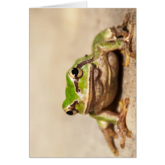 FROSCH HÄLSNINGSKORT