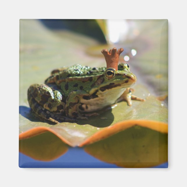 Froschkönig Magnet (Framsidan)