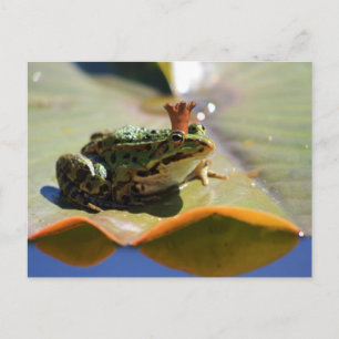 Froschkönig Vykort