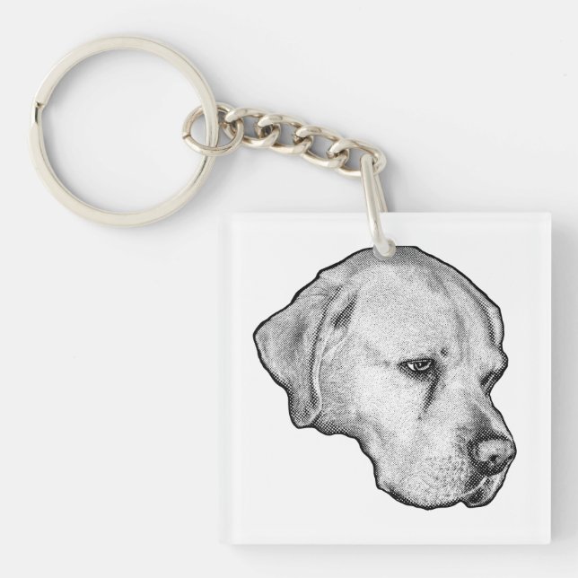 Frost-clear expression (Framsidan)