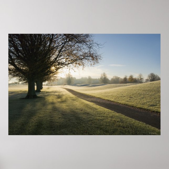 Frost-Covered Golf Course Poster (Framsidan)