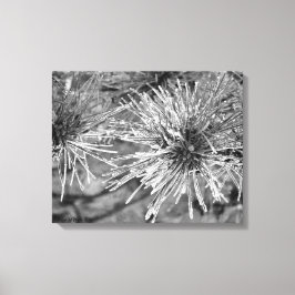 Frost Covered Gräs Nål Canvastryck