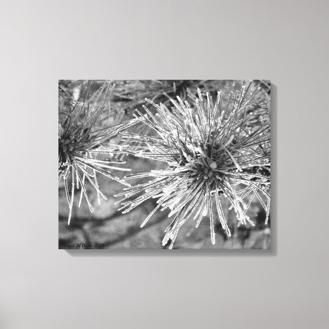 Frost Covered Gräs Nål Canvastryck (Framsida)