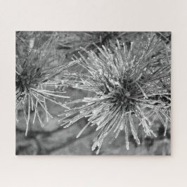 Frost Covered Gräs Nål i Black and White Pussel