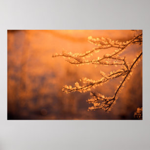 Frost Flakes med morgonsoluppgången Poster