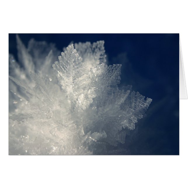 Frost Hälsningskort (Framsidan Horizontal)