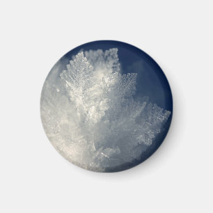 Frost Magnet