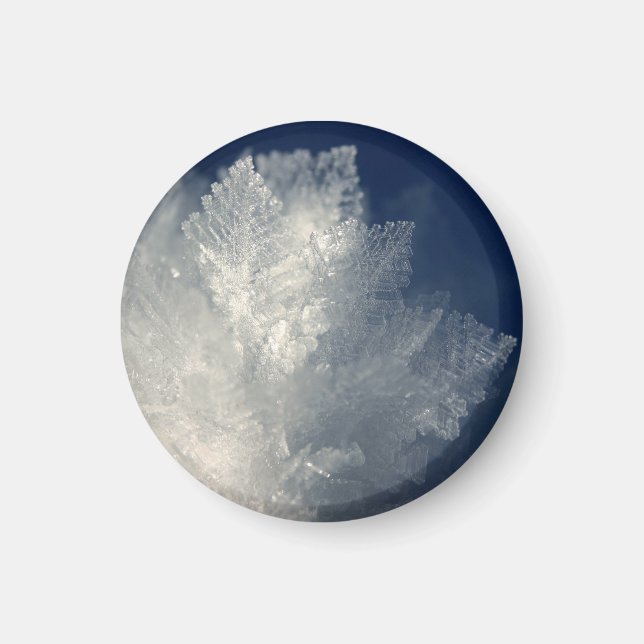 Frost Magnet (Framsidan)