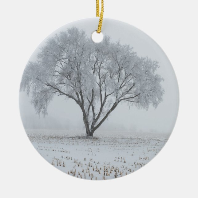Frost på Lonely Träd Julgransprydnad Keramik (Framsidan)