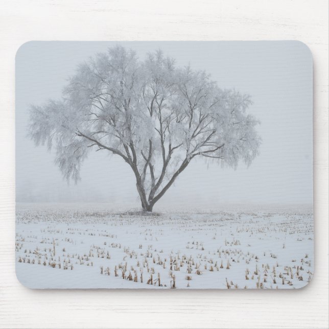 Frost på Lonely Träd Musmatta (Framsidan)