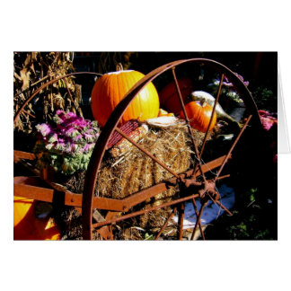 Frost på Pumpkin OBS Kort