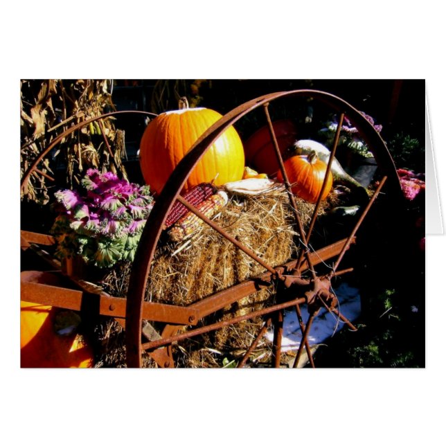 Frost på Pumpkin OBS Kort (Framsidan Horizontal)