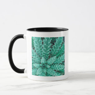 Frost på Tistel, Olympic National Park Mugg