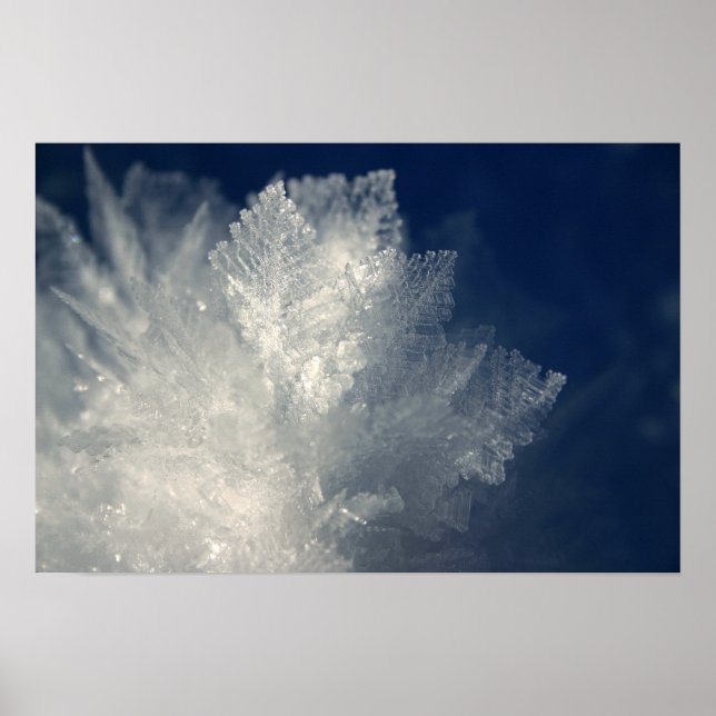 Frost Poster (Framsidan)