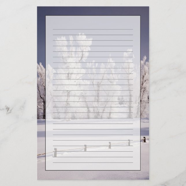 Frost täckt träd och staket, Colorado Brevpapper (Framsida)