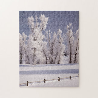 Frost täckt träd och staket, Colorado Pussel