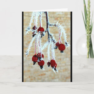 Frost täckte Berries tänker på dig Kort