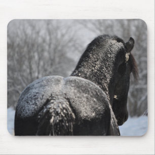 Frostad Friesianända Musmatta