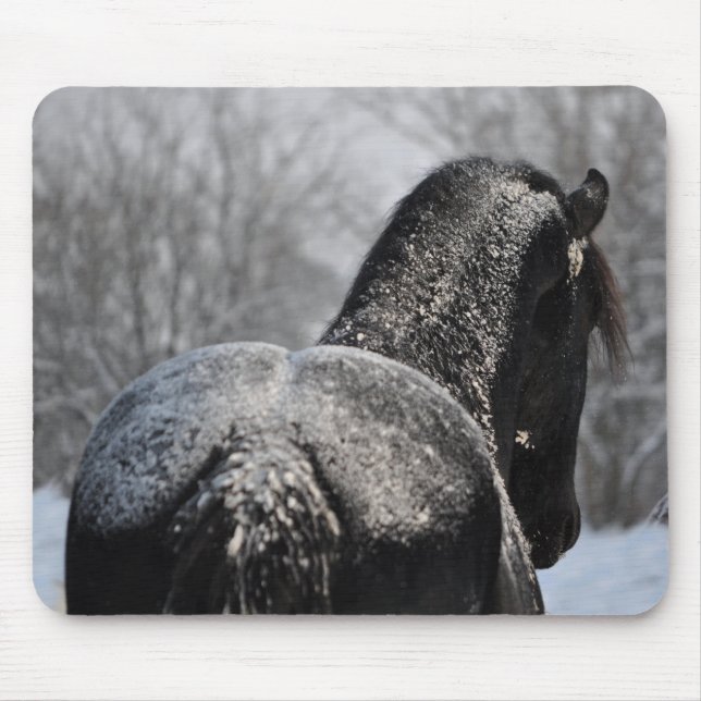Frostad Friesianända Musmatta (Framsidan)