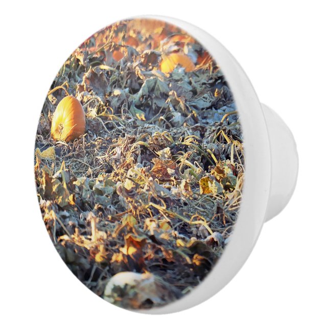 Frostad pumpafält knopp (Höger)
