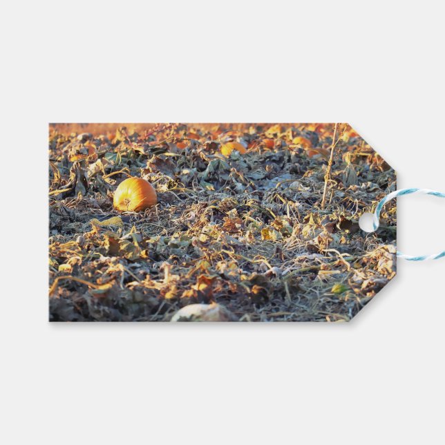 Frostad Pumpafältet  Presentetikett (Framsidan (Horisontell))