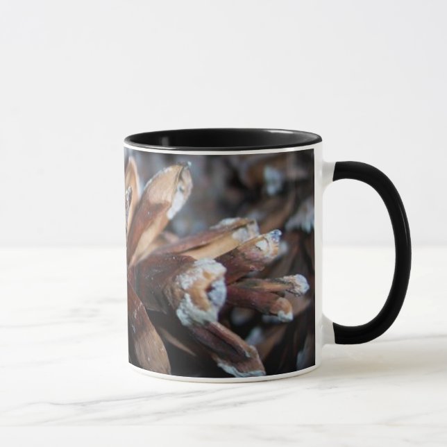 Frostad tallrik med kotte mugg (Höger)