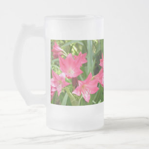 Frostade exponeringsglas för rosa rosa Crinum Frostat Ölglas