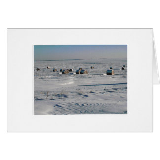 frostade flingor OBS kort