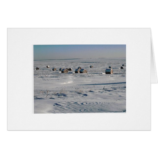 frostade flingor OBS kort (Framsidan Horizontal)