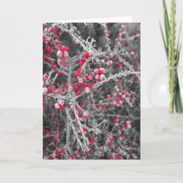 Frostat bärkort helgkort