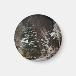 Frostat Black Woodland Night Magnet