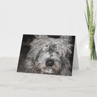 Frostat röse helgkort