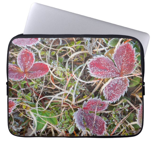 Frostbelagda blad, Kanada Laptop Sleeve (Framsidan)