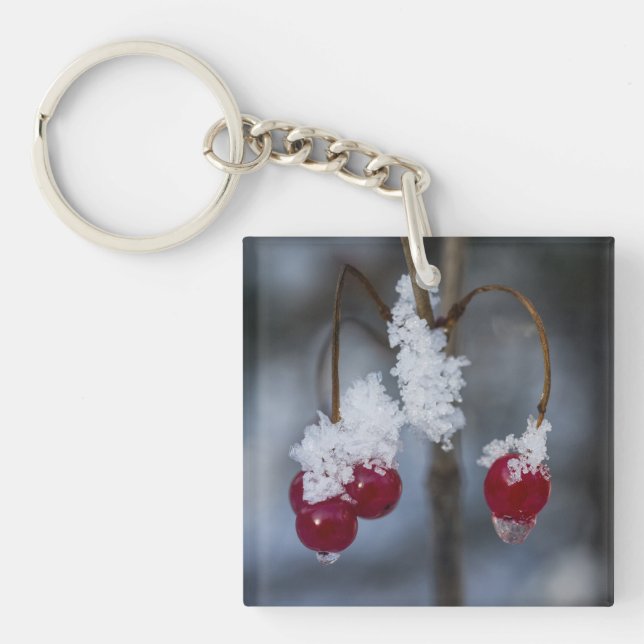 Frosted Berries (Framsidan)